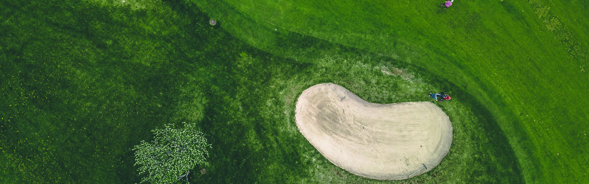 Aerial view of golf course