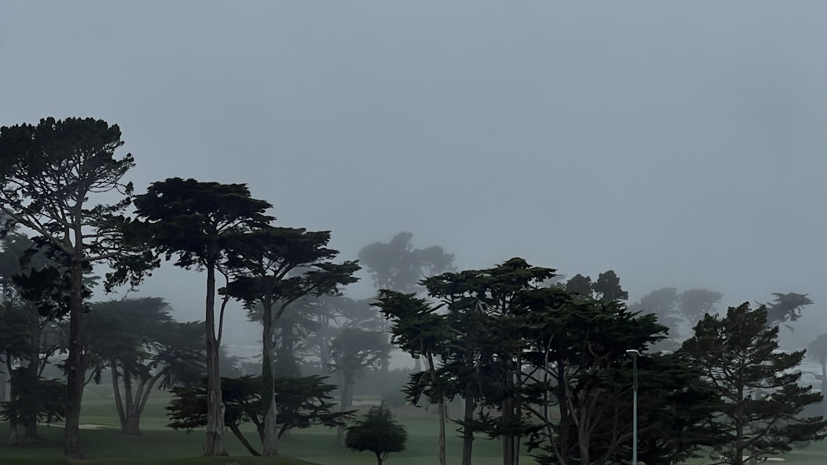 Rain Golf: What the Pros Know About Playing in Wet Conditions